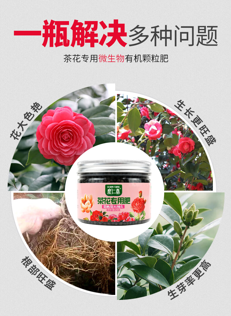 茶花肥料 专用肥盆栽家用长效复合肥有机酸性营养土山茶花专用肥 茶花