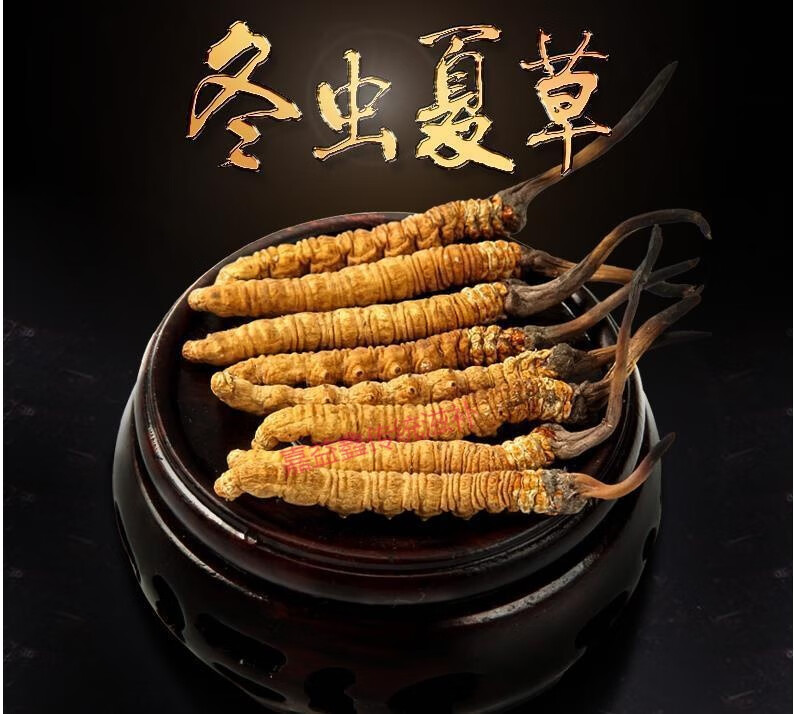 2021年非西藏那曲冬虫夏草虫草头期礼盒根鲜 特级虫草
