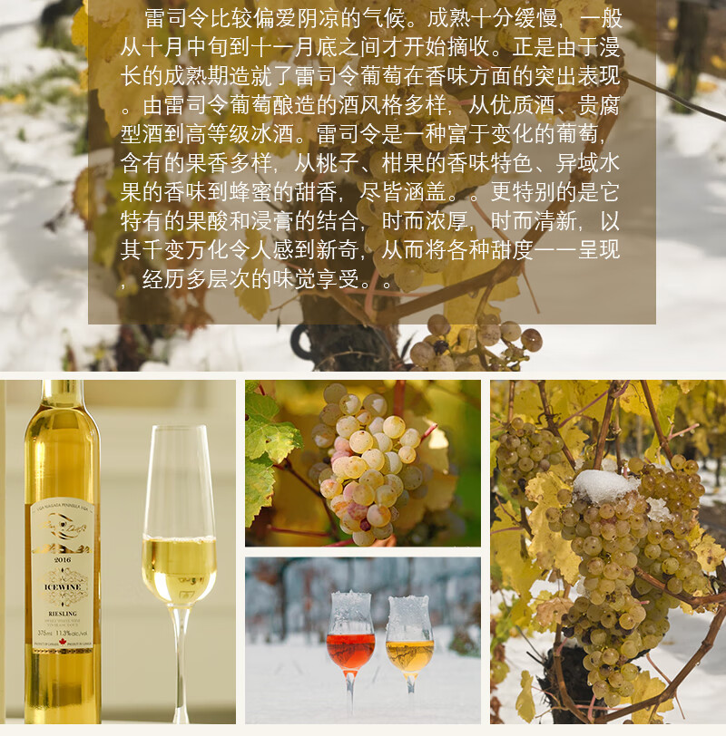加拿大冰酒山醇戴尔雷司令冰葡萄酒icewinevqa级品质精美礼盒装单支