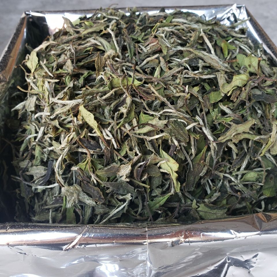 白茶花香白牡丹1000克散茶自产自销原产地高山白牡丹1000克收藏装