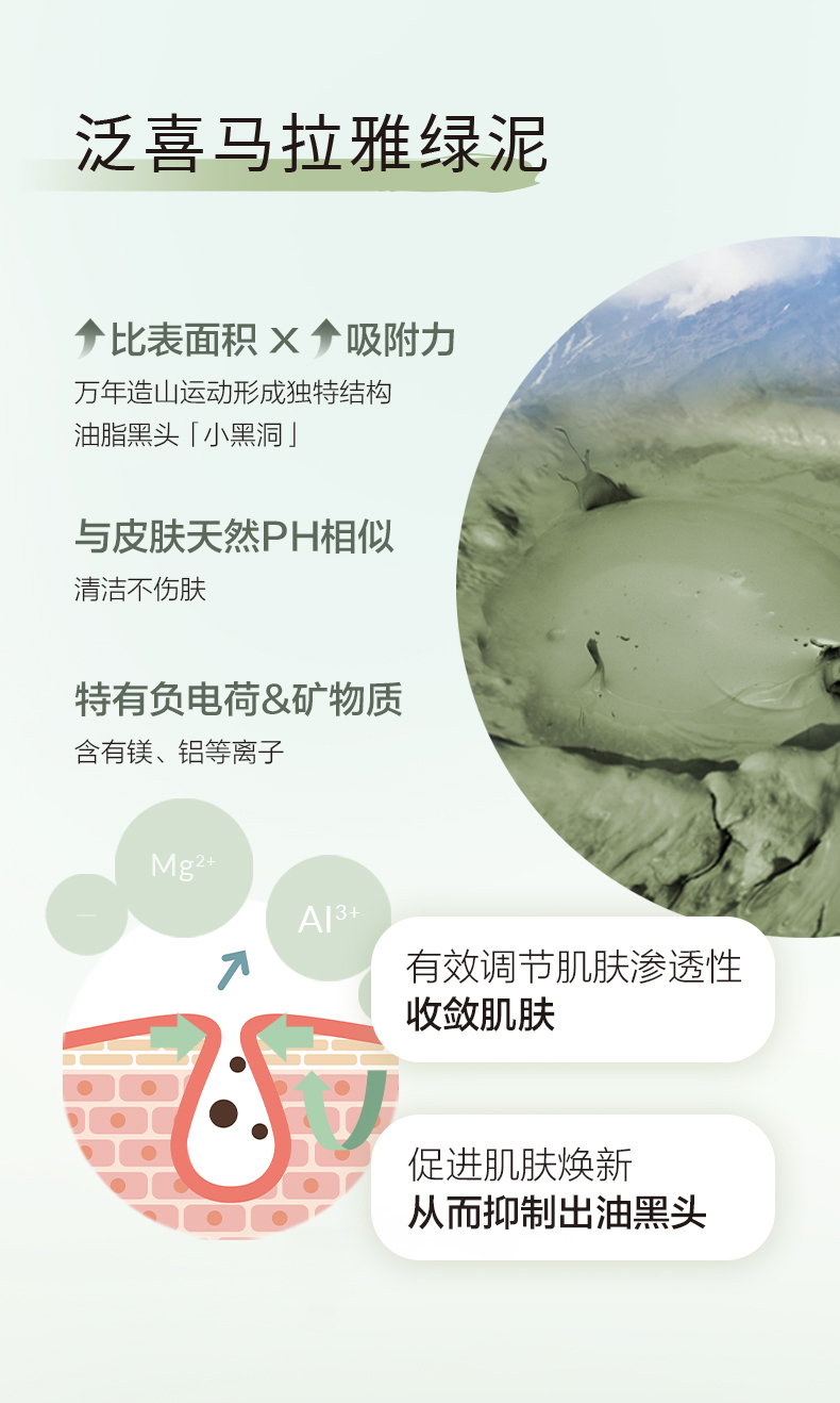 自然堂（CHANDO） 绿茶泥膜细致毛孔控油深层清洁面膜涂抹面膜不含酒精敏感肌男女 自然堂茶泥膜-100g
