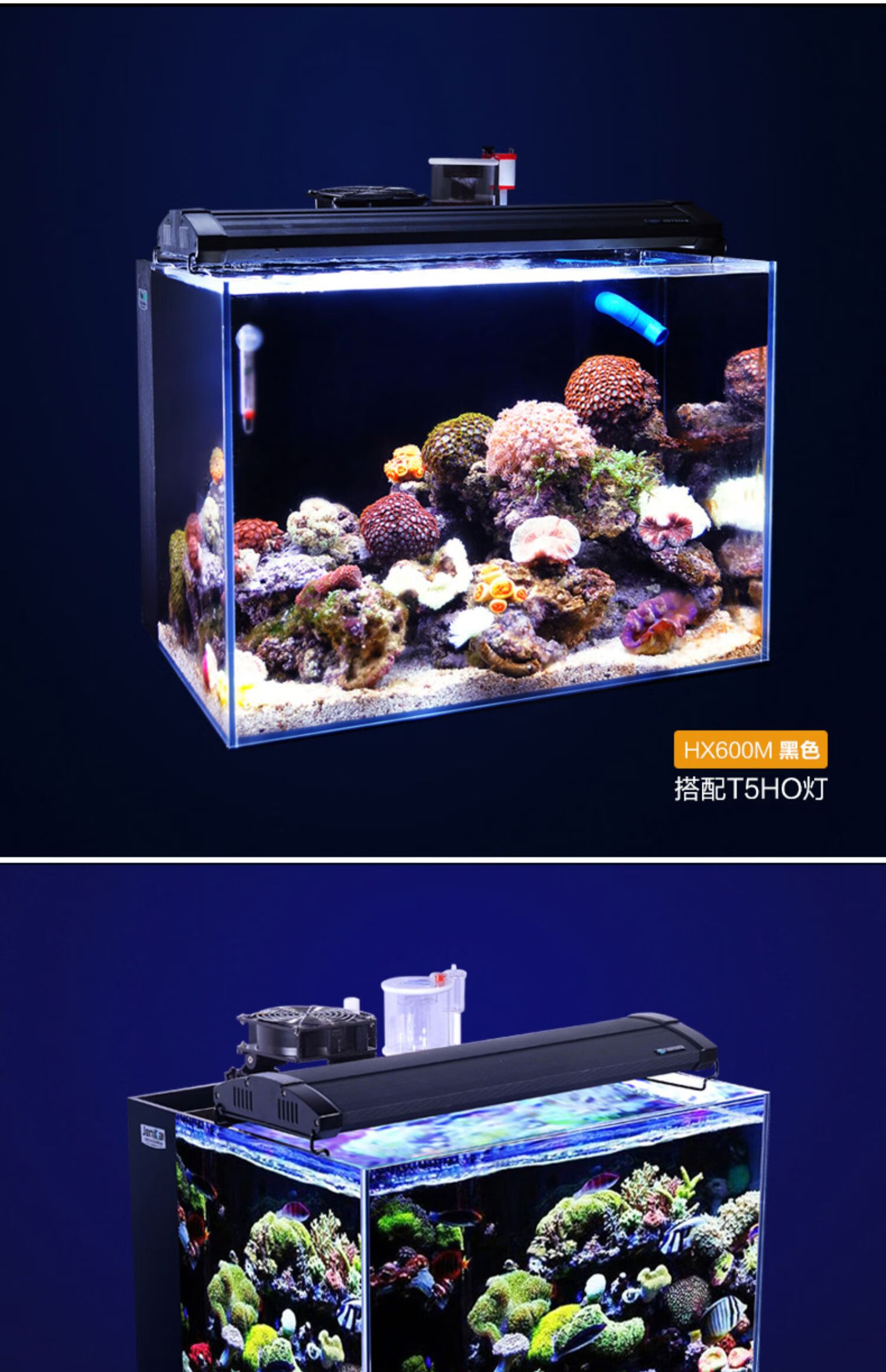 海水缸背滤中小型鱼缸水族箱热带小丑鱼珊瑚套缸spslps hx500m(蓝色)
