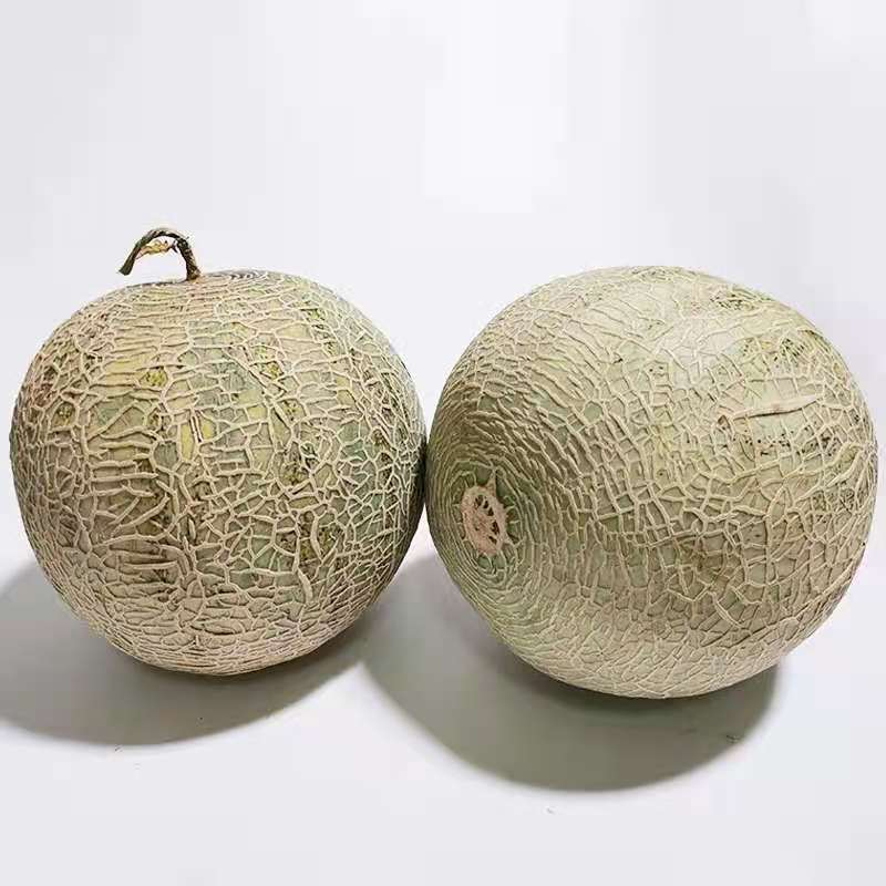 海南玫珑瓜网纹文蜜瓜软糯香甜带箱1-5个新鲜水果冰糖