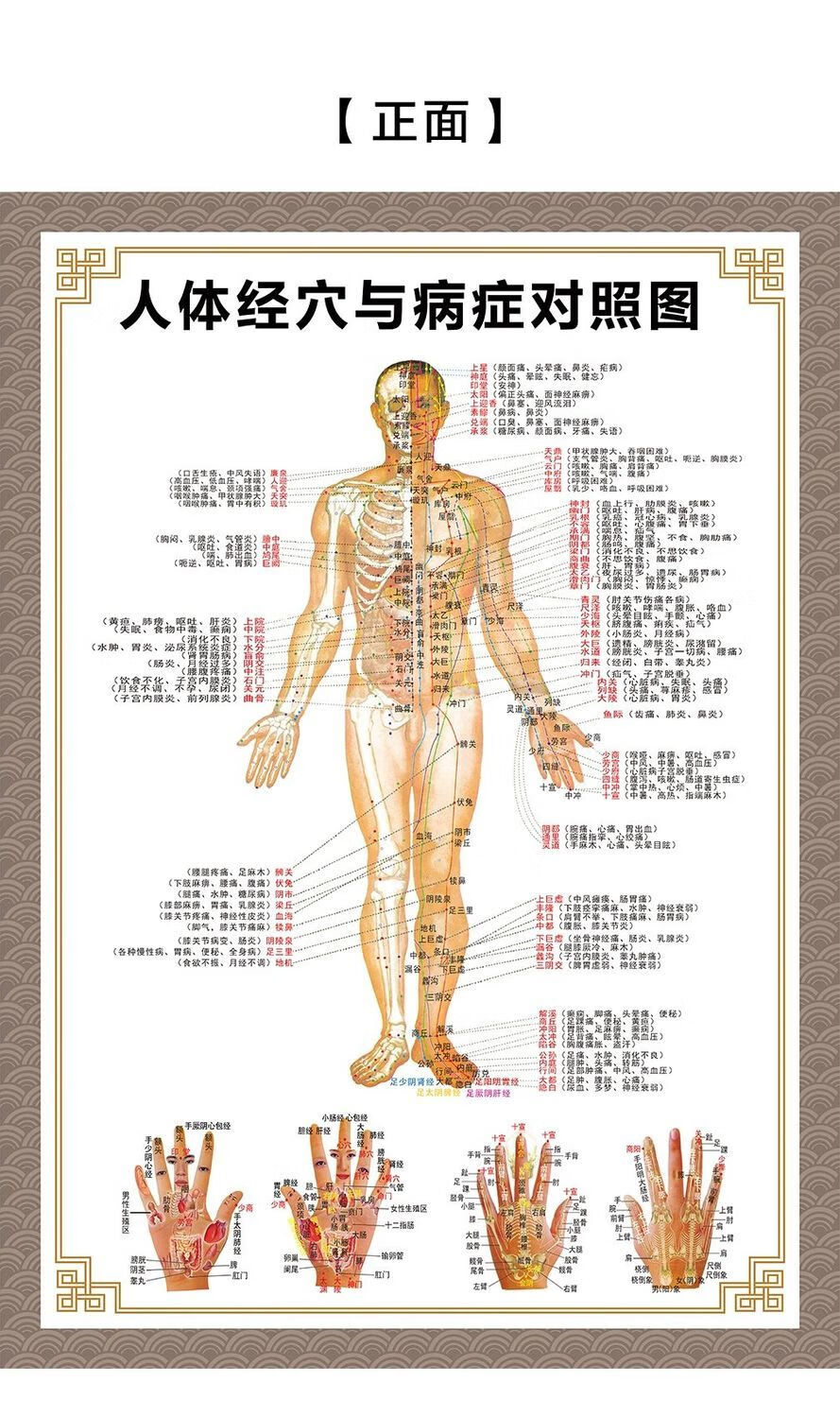 人体穴位图挂图高清人体穴位图全身图中医针灸艾灸拔罐养生十二经络