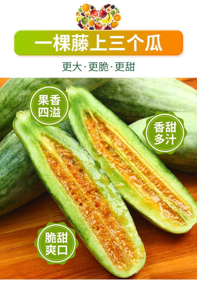晨臻山东羊角蜜甜瓜新鲜水果当季脆甜蜜瓜小香瓜脆甜整箱10斤