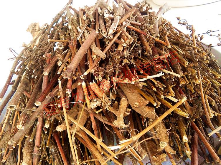 康中尊 吐蕃御方藏茵陈西藏尼泊尔野生肝胆三阳药非青海赶黄草可打粉