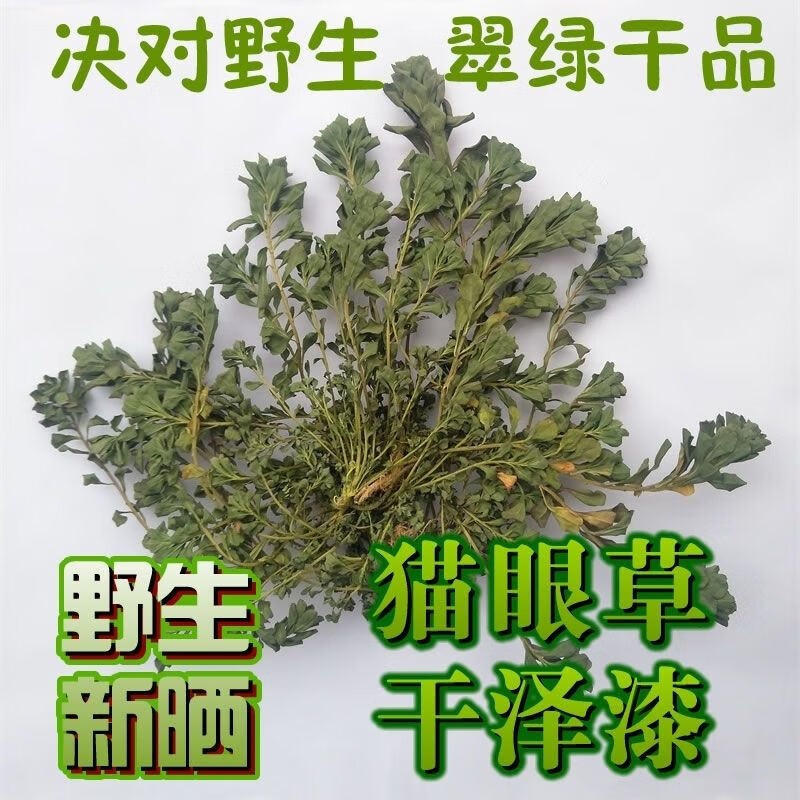 今年新货整株全草干鲜品猫眼草泽漆五朵云翠绿马虎眼暴晒 一斤现挖