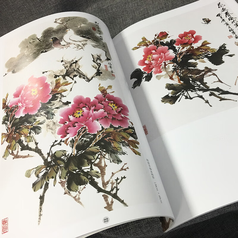 名家王绍华写意牡丹 中国画入门教程 绘画技法技巧 艺术绘画国画牡丹