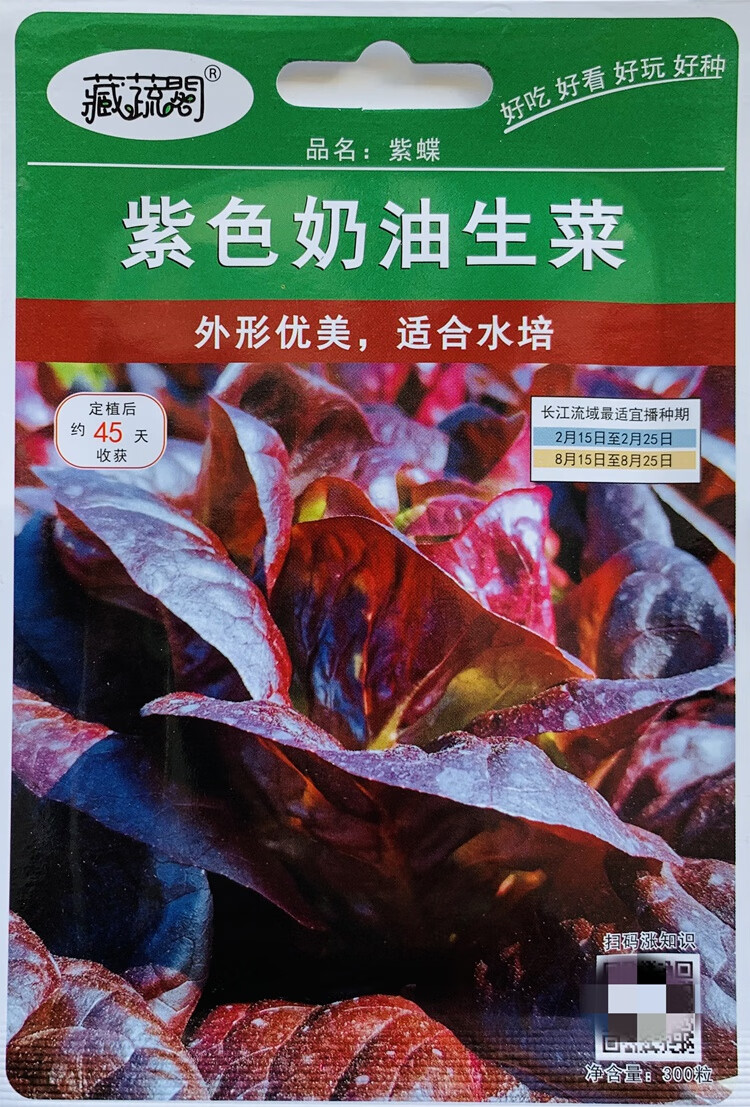 紫生菜种子易种蔬菜种籽可生吃沙拉蔬菜阳台盆栽田园速生四季菜籽紫叶