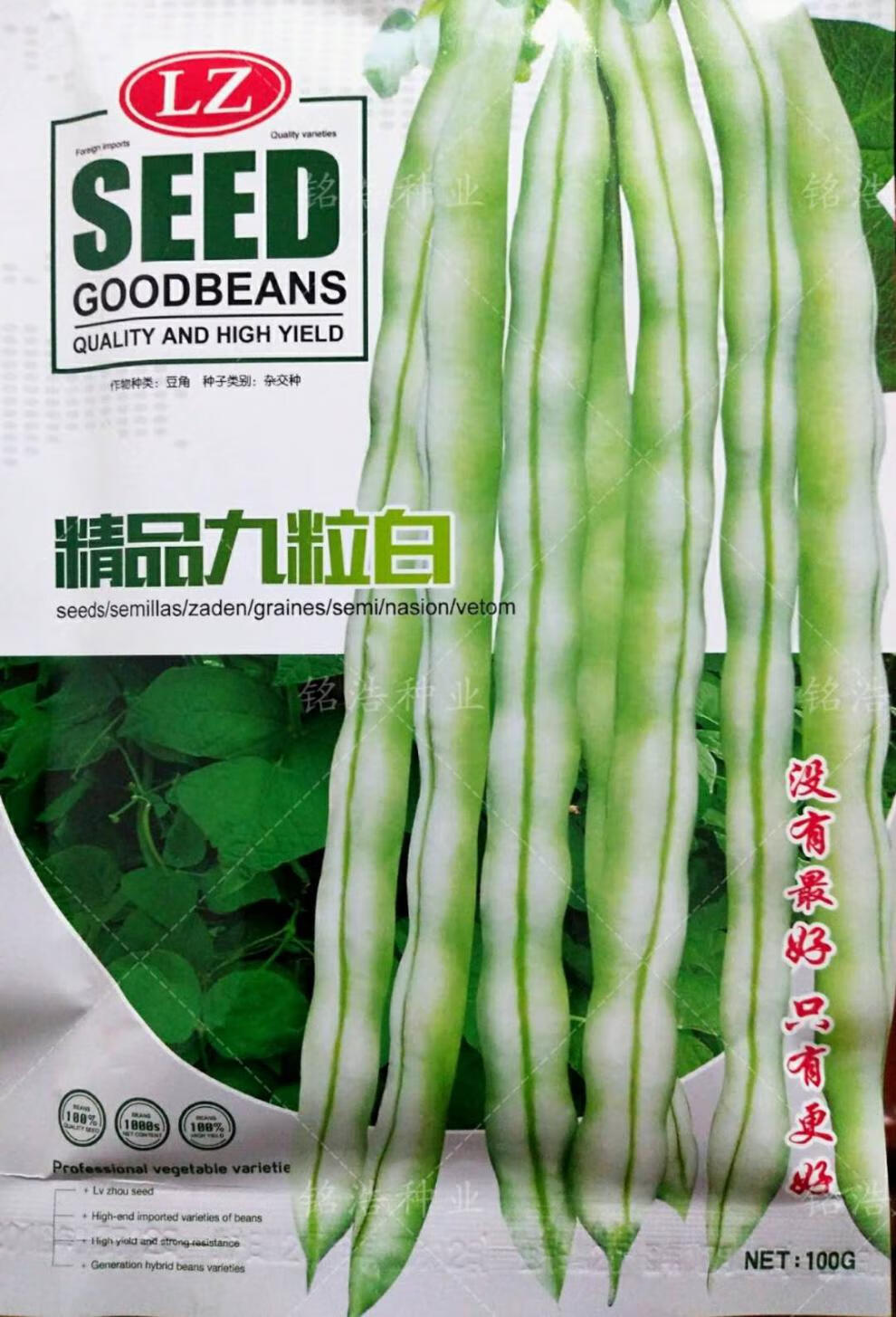 精品九粒白芸豆种子豆角籽四季豆架豆种高产春季四季蔬菜农家田园