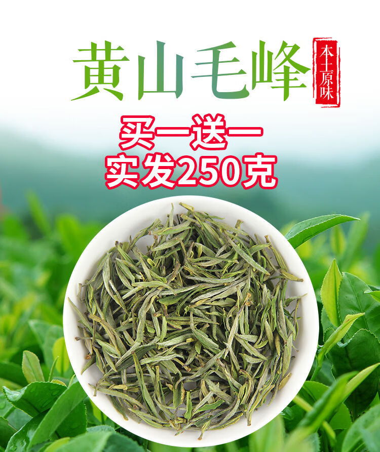 2021新茶黄山毛峰春茶特级头采嫩芽明前茶叶安徽绿茶250克铁罐装 开园