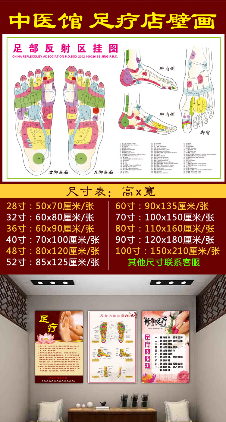 泽熙人体足部反射区挂图足底按摩穴位图片足疗脚底中医养生美容院海报