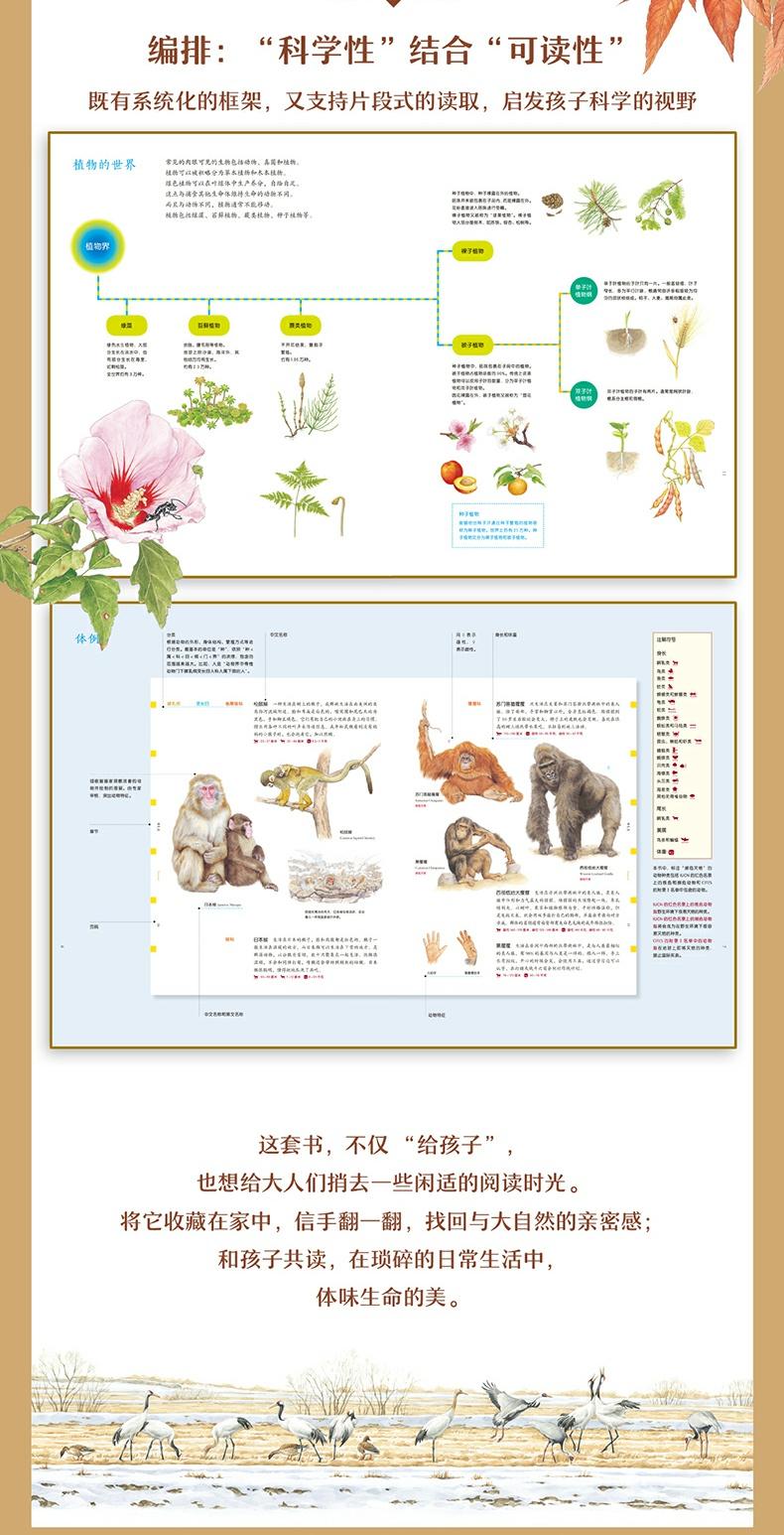 给孩子的自然图鉴全2册儿童图画书绘本710岁科普百科612岁自然图鉴书