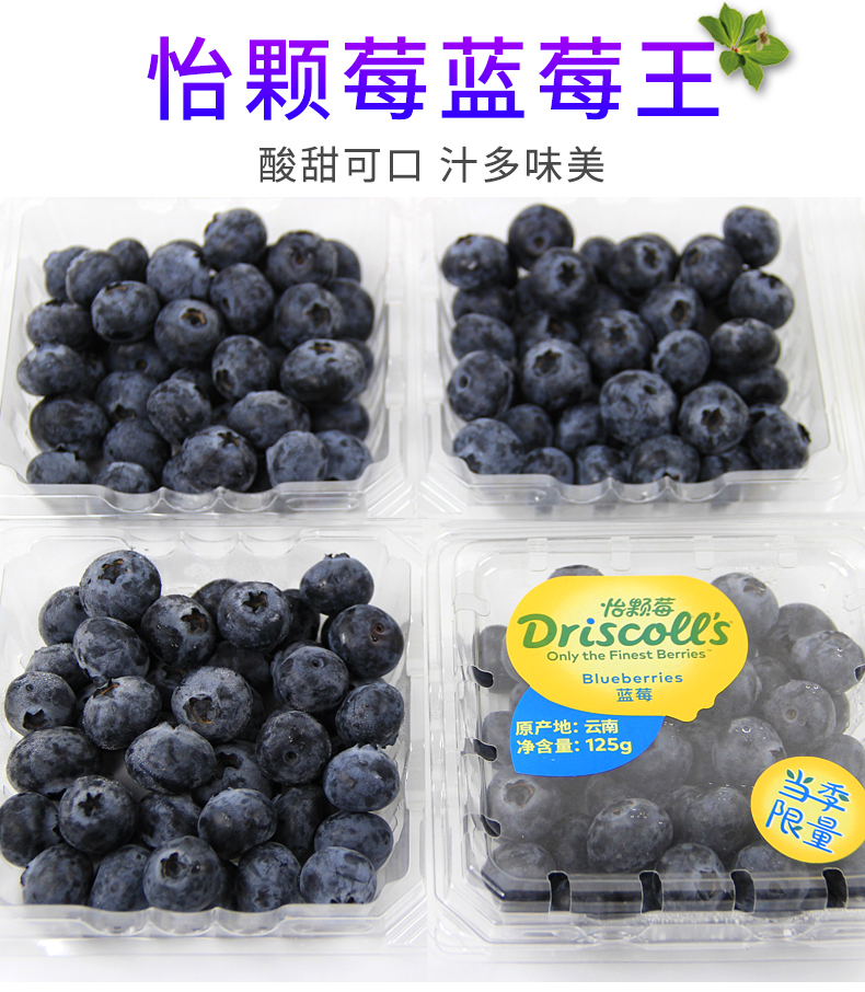 云南怡颗莓蓝莓王当季限量driscolls大蓝莓新鲜水果12包顺丰限量款4盒