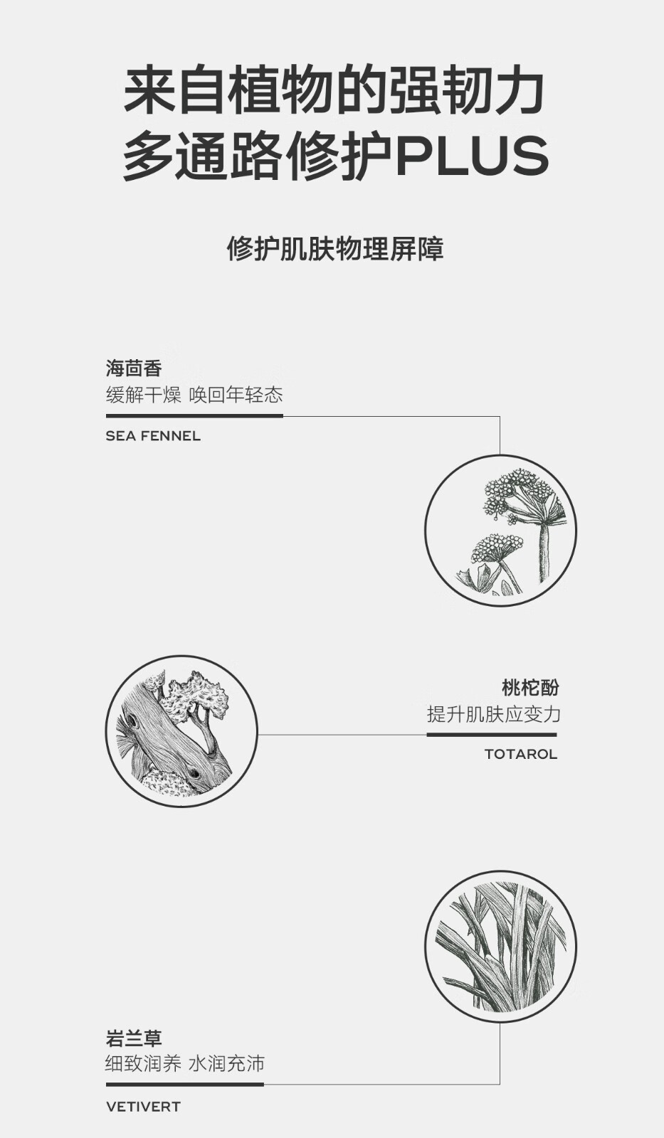雏菊的天空（DAISY SKY）翡冷翠夜间修护精华油抗皱紧致精华油舒缓祛痘控油精华油 30ML