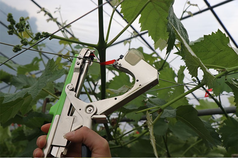 精选好货定制黄瓜绑扎器新款绑枝机黄瓜绑架器葡萄邦枝机绑蔓器西红柿