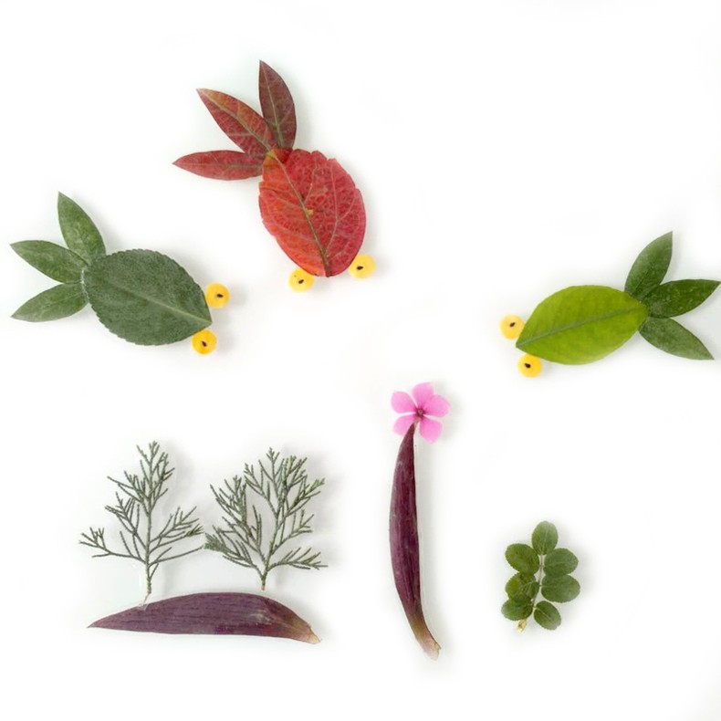 标本册 制作真材料树叶干花压标本画收集儿童植物标本