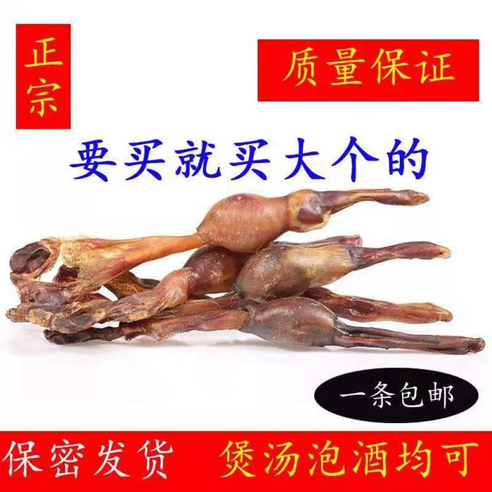 中药材黄狗鞭 黄狗肾泡酒鞭 新鲜干鞭 狗鞭 泡酒料狗中药材鞭滋补 黑