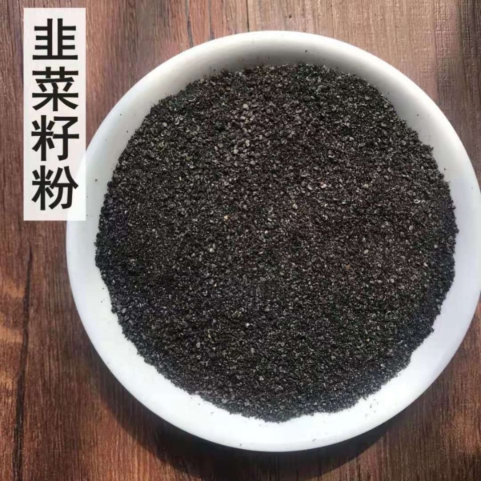 中药材天然 韭菜子 韭菜籽 现磨韭菜籽粉 炎黄 可炒熟 菲菜籽1000g
