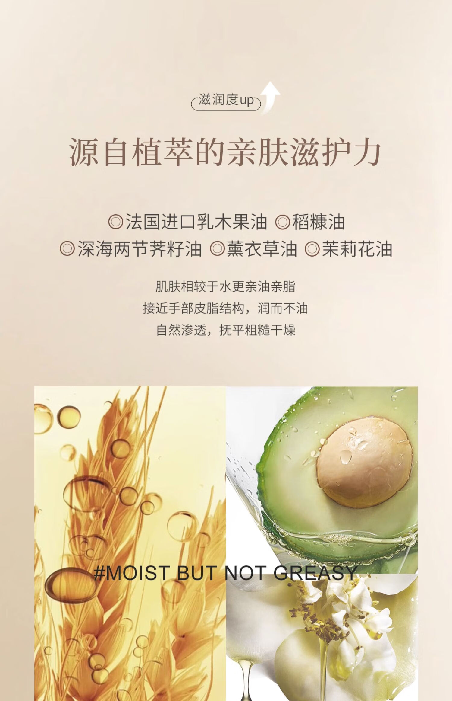 安野屋精油香氛护手霜男女四季防干裂秋冬保湿 （无花果与叶）75g