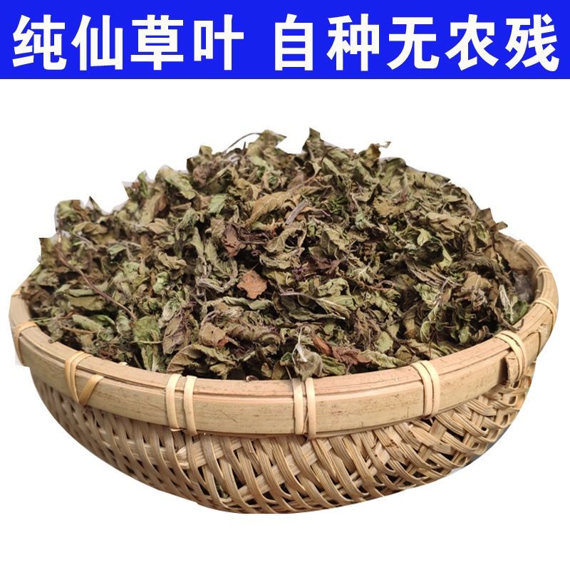 万花草烧仙草仙草干凉粉草新鲜草干烧仙草材料全套配料仙草冻仙草粉