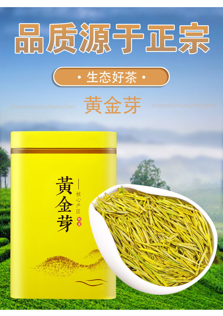 珍稀黄金芽2021新茶安吉好茶正宗浙江高级黄金茶叶绿茶浓香多规格