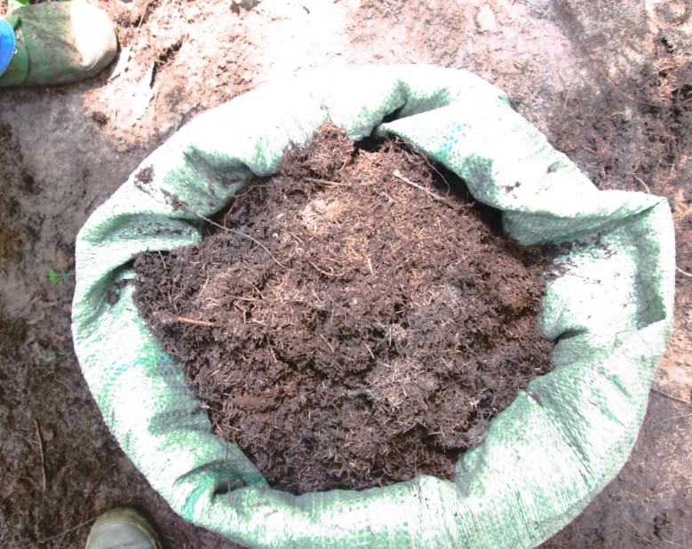 东北天然松针土松针肥料土壤植物腐熟花肥酸性有机土腐叶腐殖土 20斤