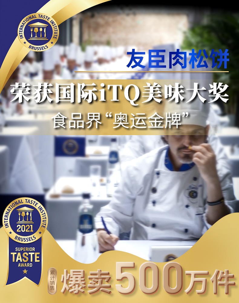 友臣（YOUCHEN） 金丝肉松饼干牛可可礼盒养早餐面包糕点心办公室休闲小零食小吃 友臣金丝肉松饼500g/约14-15枚