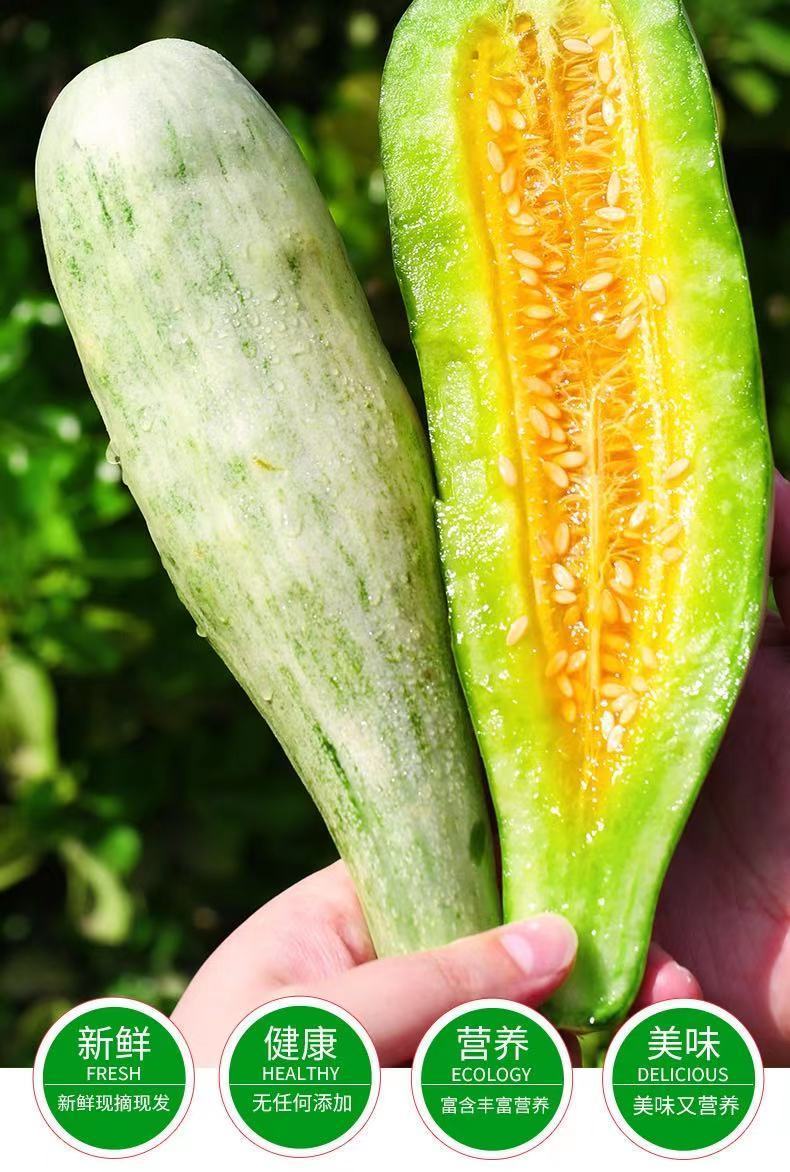 头茬现摘山东羊角蜜甜瓜香瓜脆甜新鲜孕妇水果带箱博洋9应季 【现摘现