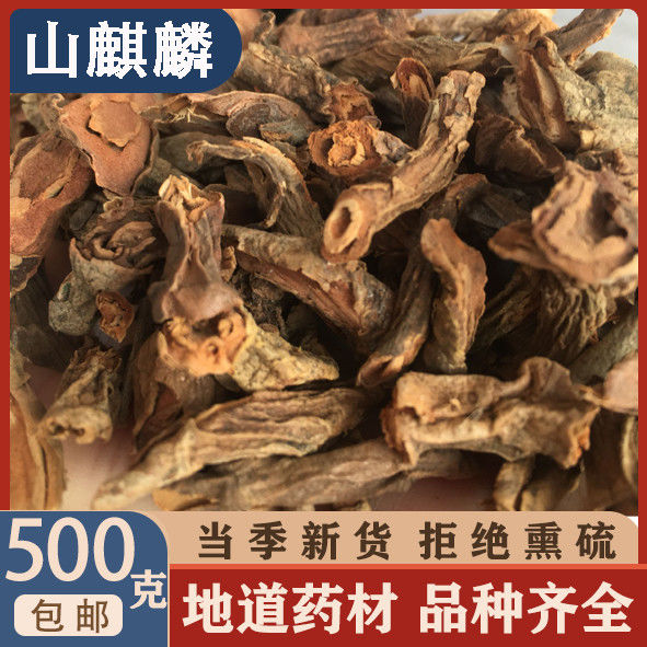 伟博山麒麟冷背中药材山麒麟红药玉麒麟麒麟竭500克500克山麒麟实惠装