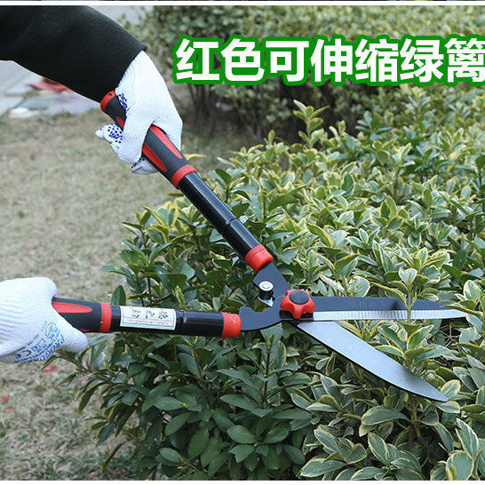 剪枝剪刀草坪剪修枝树剪子修剪树枝剪果树花剪刀绿篱剪园林大剪刀 红