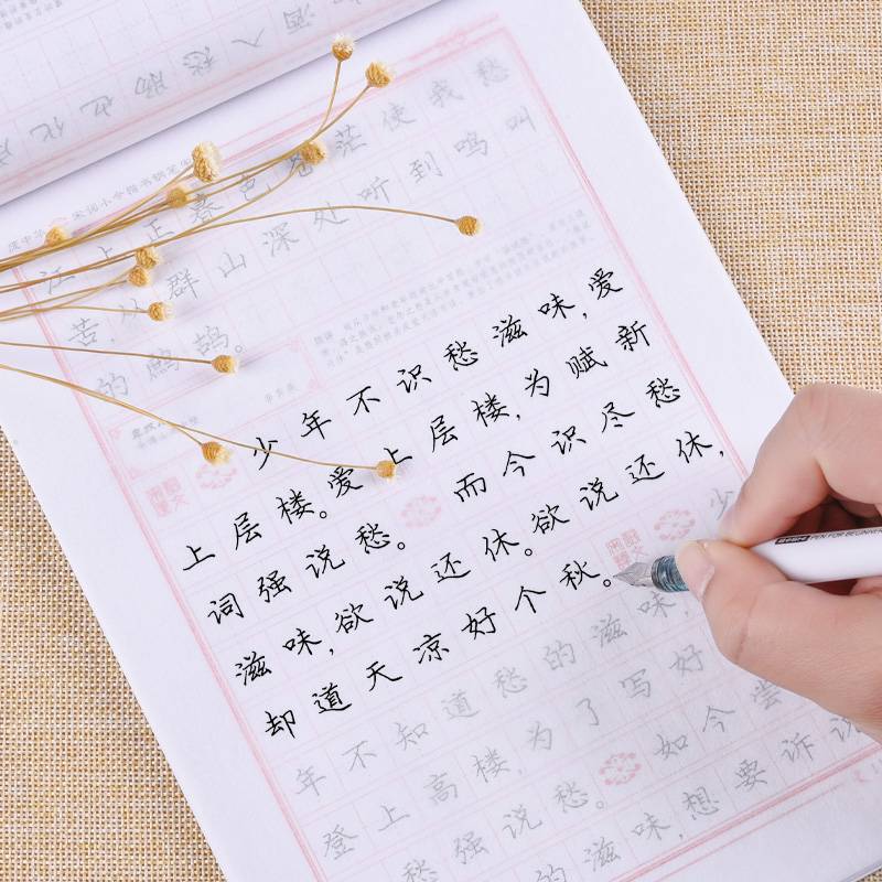 唐诗宋词中学生高中生成年成人大学生庞中硬笔正楷基础入门7000字练字