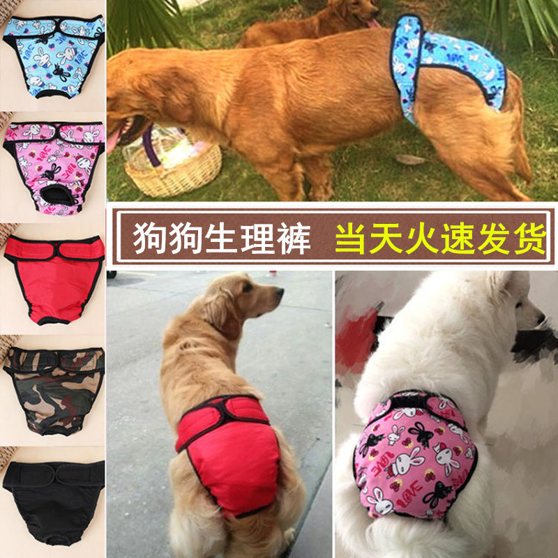 宠物狗生理裤大中型犬内裤月经裤金毛萨摩耶拉布拉多防骚扰姨妈裤 狗