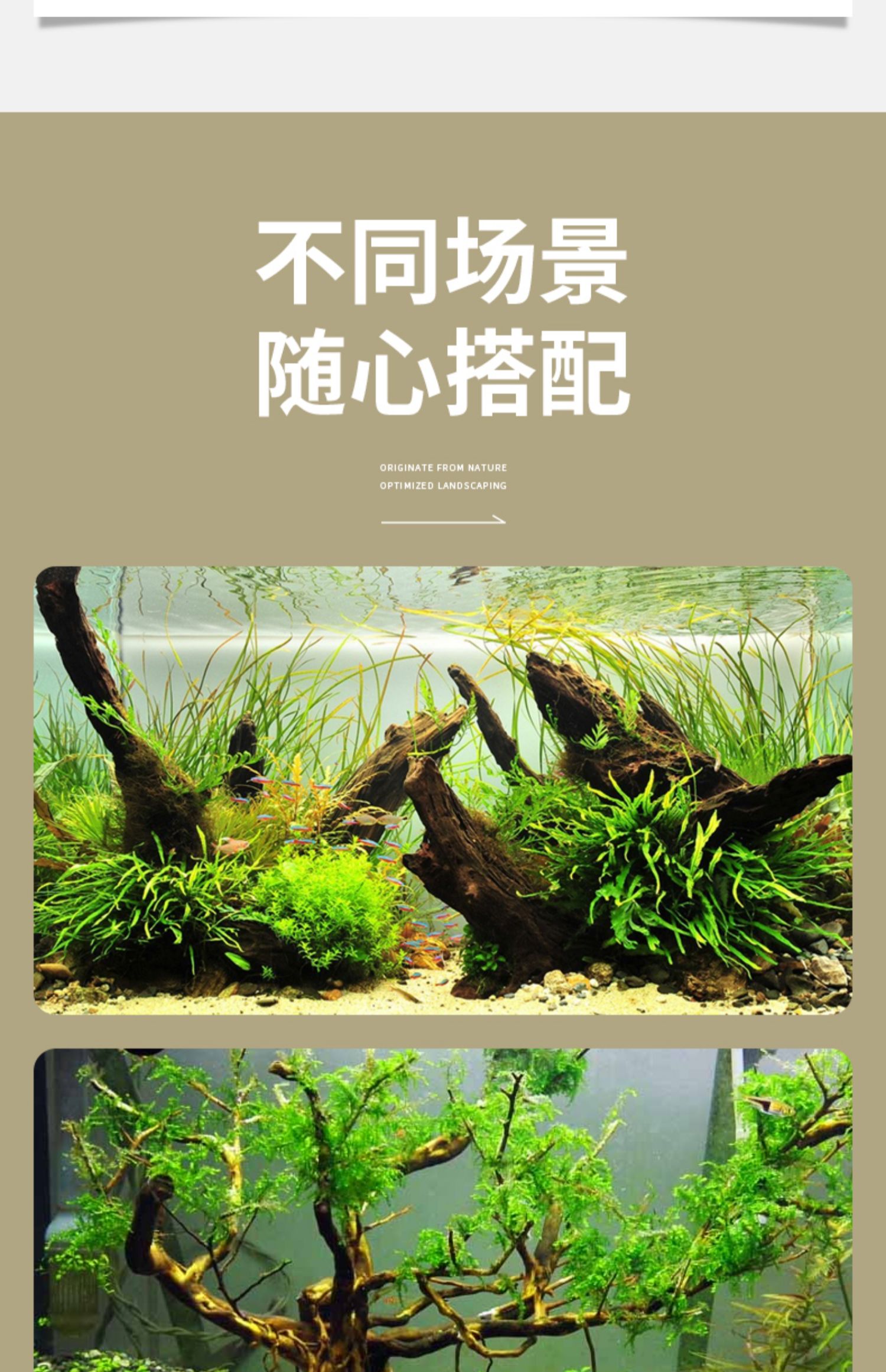 水草沉木 造景木水族大号鱼缸造景水草沉木树根装饰树木天然森林 l(30