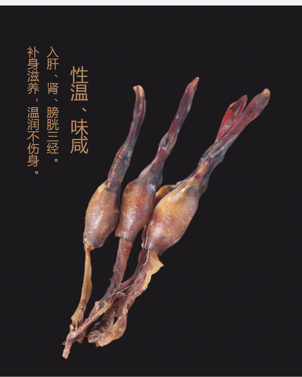 黄狗鞭 黄狗肾 泡酒鞭 新鲜干鞭 狗 中药材泡酒料 滋补 鞭 泡酒 黄