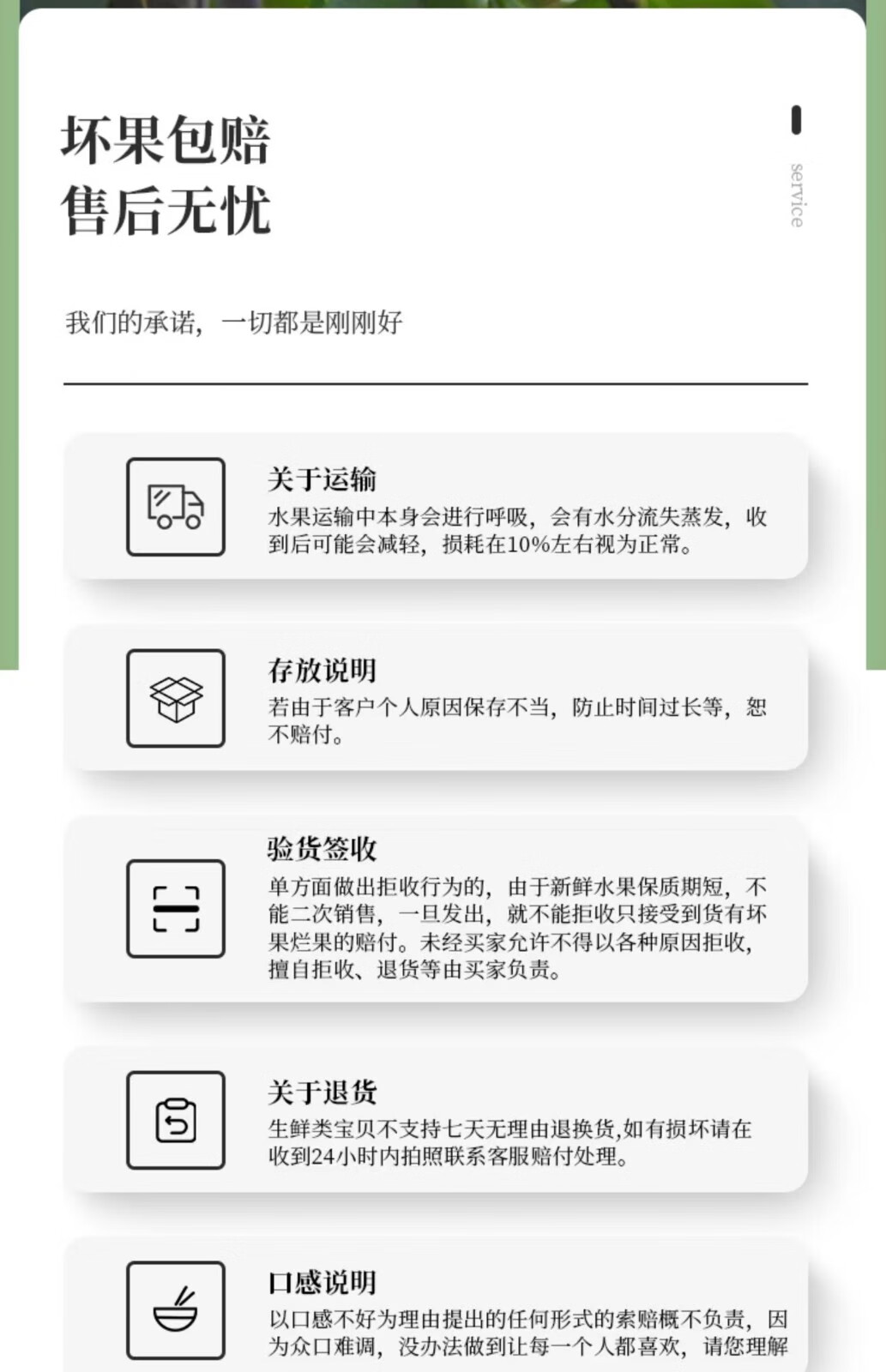 砀宁果品 正宗羊脂秋月梨新鲜水果整箱当季现摘冰糖梨子大果装莱阳 秋月梨  净重4.5斤