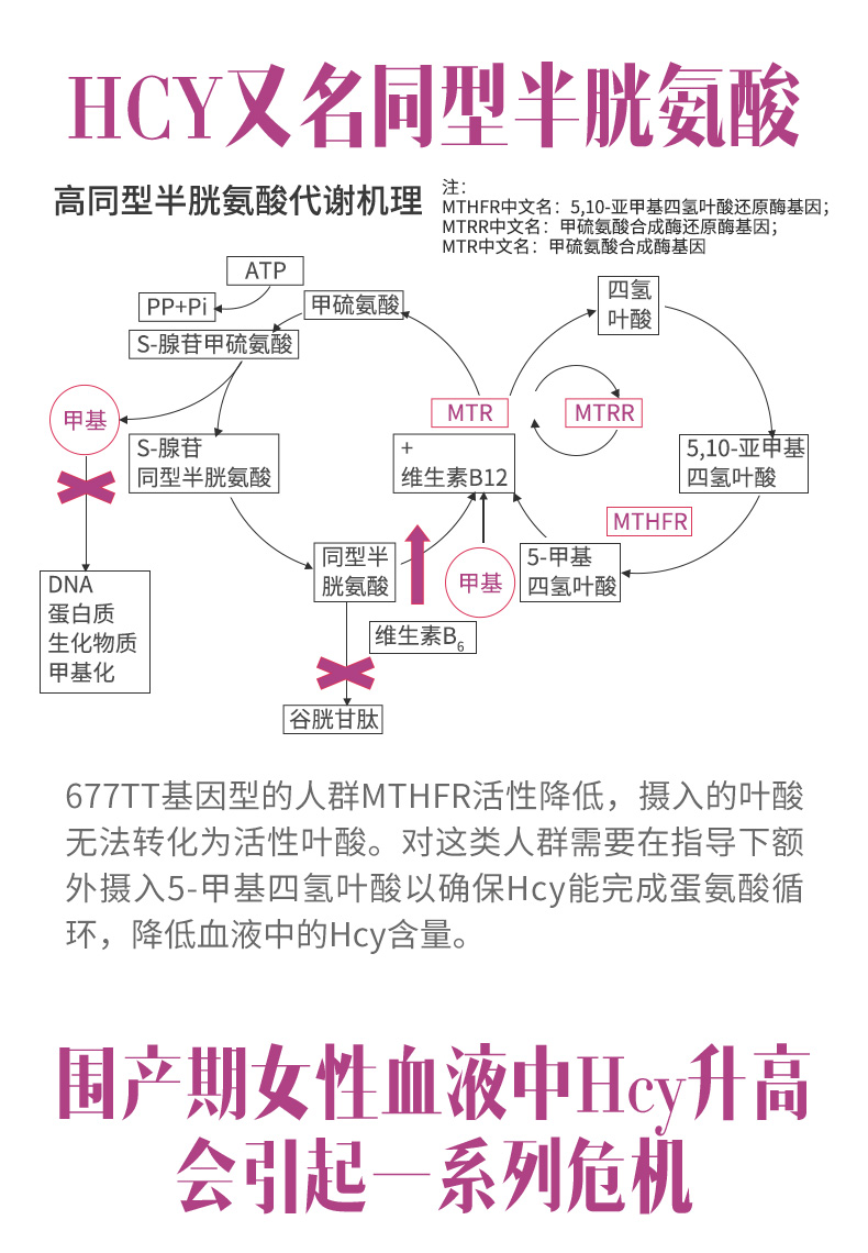 hy会员 活性叶酸胶囊 五甲基四氢叶酸 30粒/瓶美国