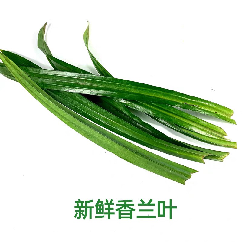 新鲜香料 西餐调料 法香(法国香菜荷兰芹)250g【图