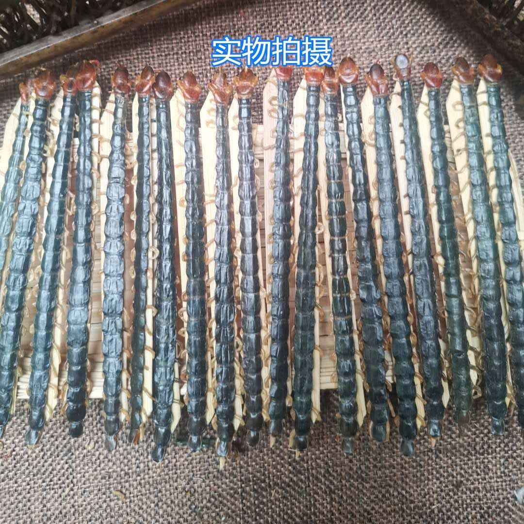 蜈蚣中药材蜈蚣干红头蜈蚣820cm各种规格标准尺寸滋补蜈蚣1112厘米50