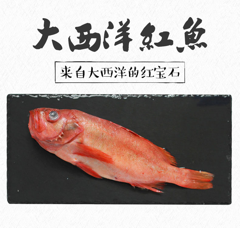 良知农哥 顺丰 深海红鱼 新鲜冷冻水产深海鱼 石斑红鱼 深海红鱼3条