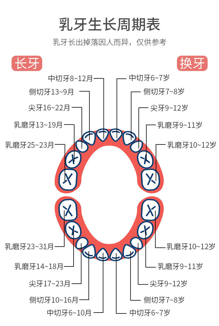 婴儿童乳牙盒乳牙纪念盒儿童乳牙收藏盒宝宝掉换牙齿保存盒 乳牙盒