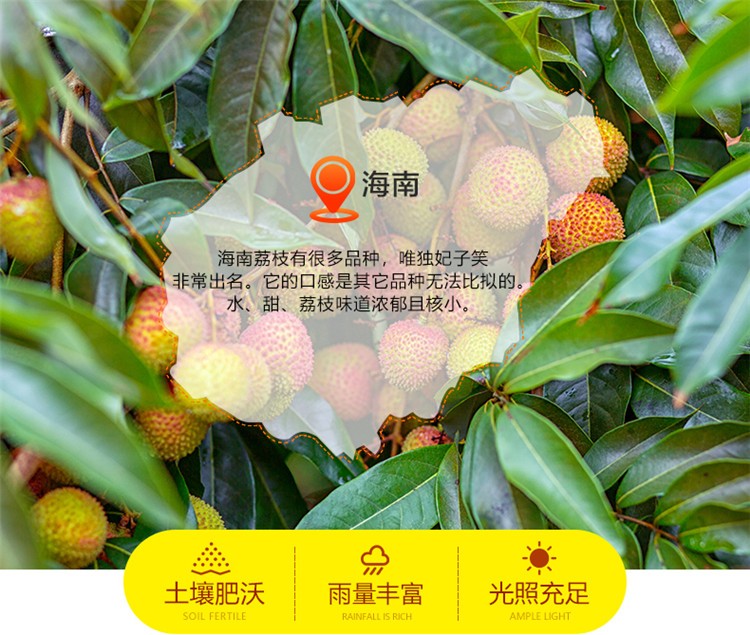 百觅 海南荔枝 新鲜水果  妃子笑荔枝4.5-5斤 JD冷链 现货直发