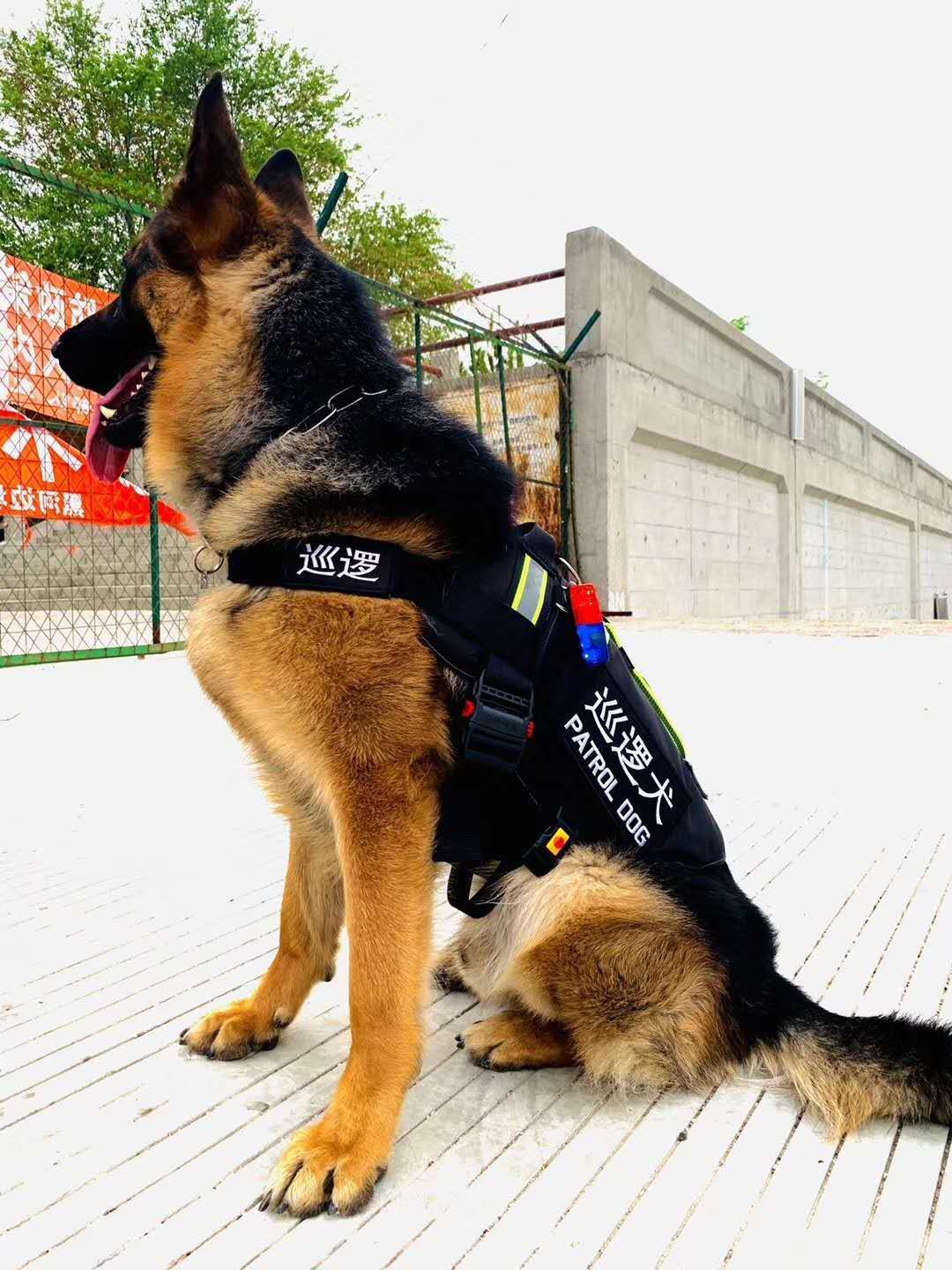 狗工作巡逻执勤消防搜救衣服胸背带k9背心工作犬缉毒犬德牧马犬巡逻服