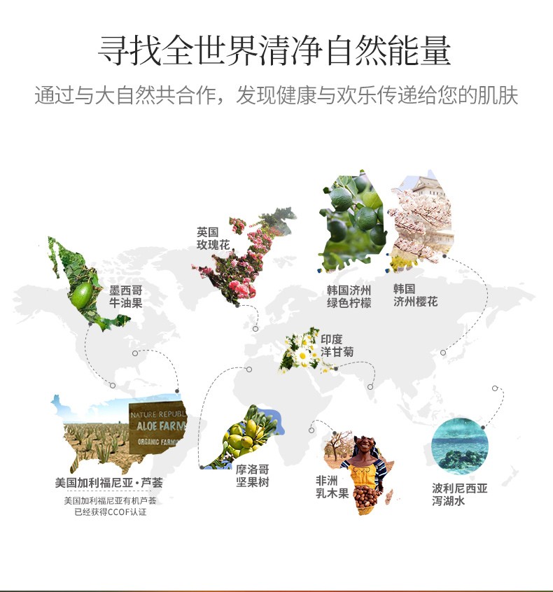 自然乐园（NATURE REPUBLIC） 精粹自然芦荟面膜痘痘印晒后修护解渴补水保湿收缩毛孔 20片