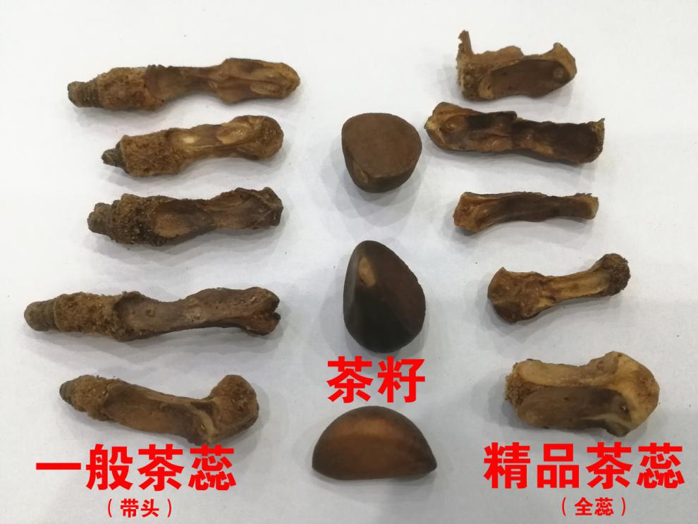 高州原生态茶籽芯1斤老树茶子心山茶籽蕊茶油饼山茶油