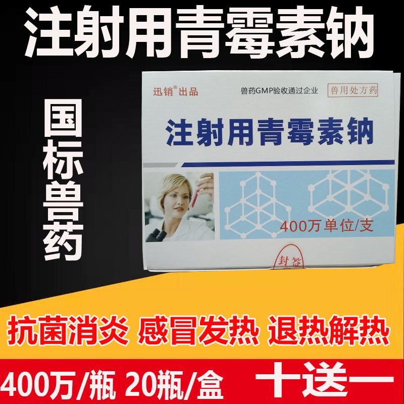 迅销青霉素400万兽用青霉素注射液青霉素钠甲猪药牛羊药抗菌消炎兽药