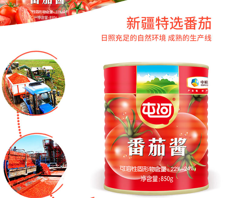 中粮屯河直灌番茄酱850g2罐炒菜调料调味品商用酱餐饮屯河番茄酱850g2