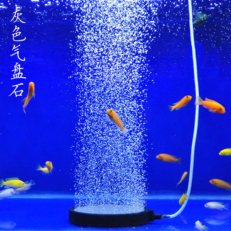 鱼缸气泡盘气石沙头水族箱增氧气泵气饼气泡石缸养鱼配件氧气头条用品