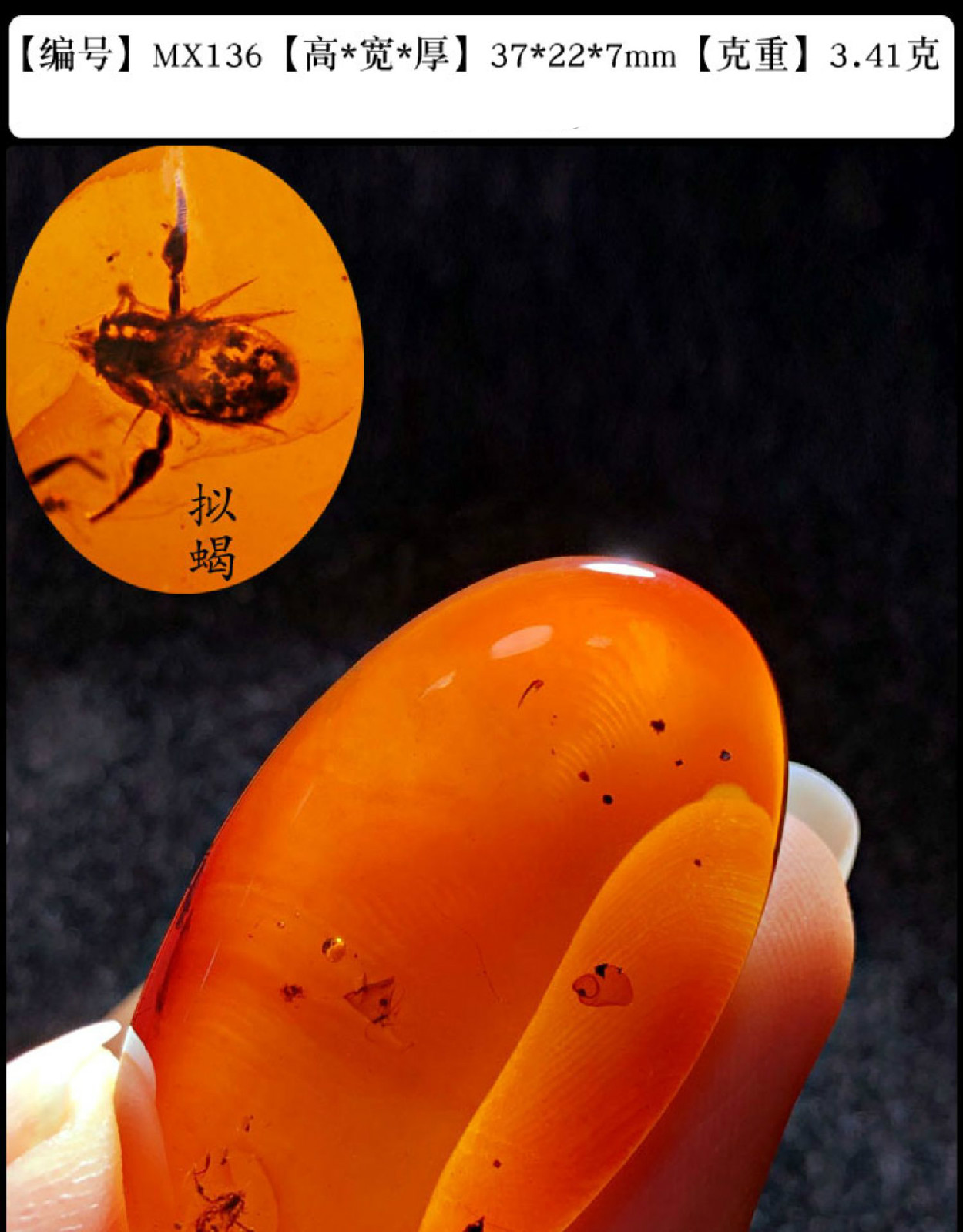 虫珀琥珀吊坠虫珀蜘蛛活水胆植物昆虫动物琥珀化石蛋面水滴sn0684mx