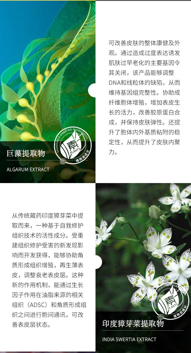 SUMMITYLE素密肽星耀眼精华 15ml
